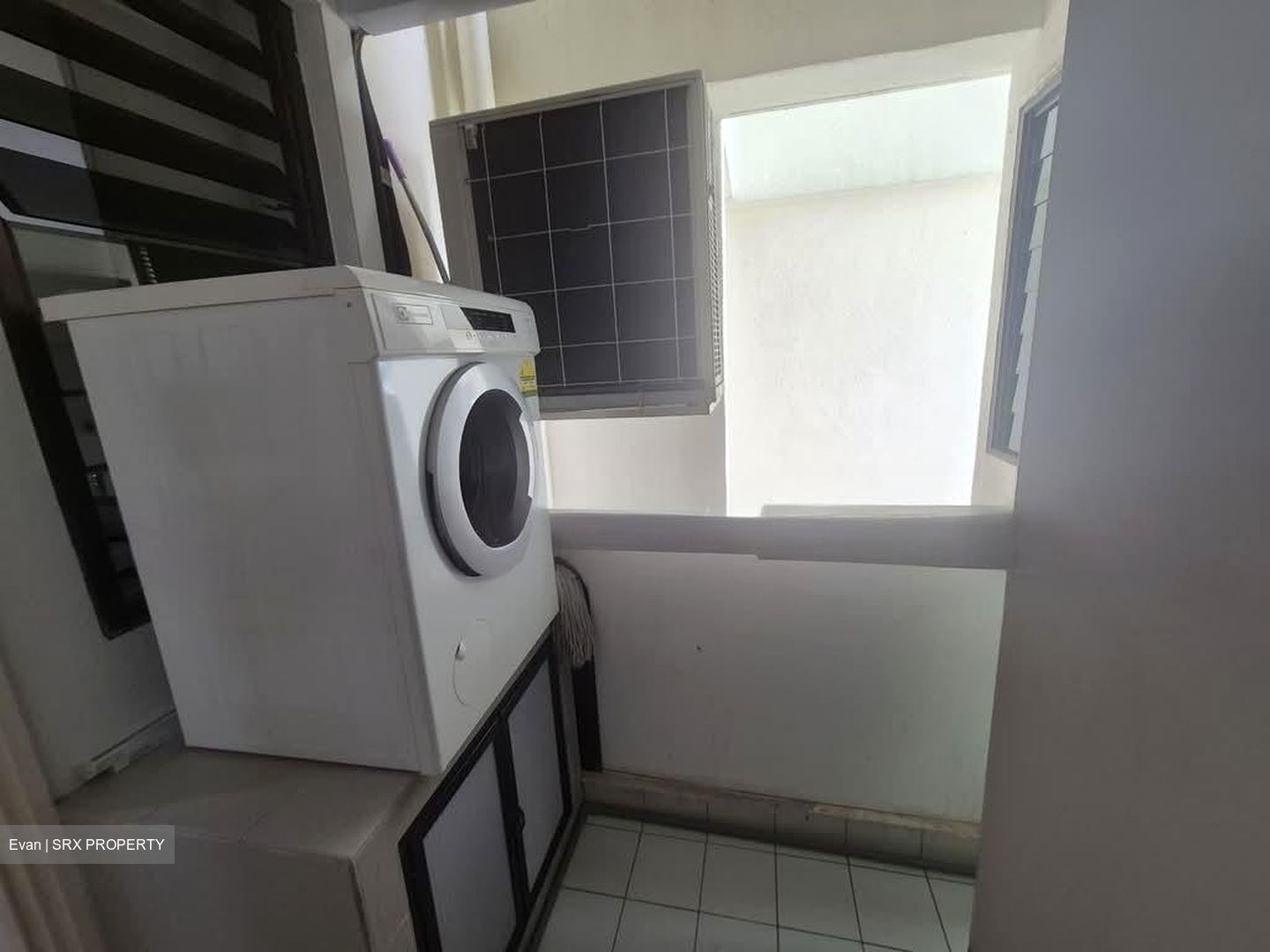 The Tanamera (D16), Condominium #532420121